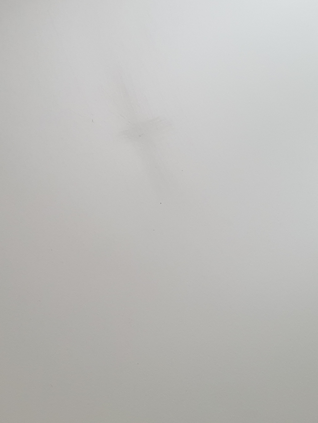 스칸디나 코지 벤치의자 1000