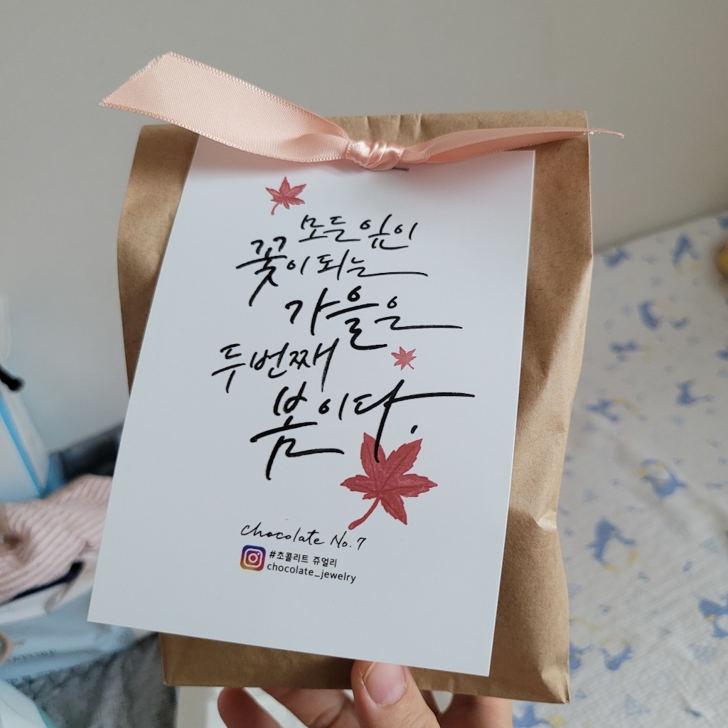 초콜리트쥬얼리 꾸안꾸 빅사이즈 무광 반투명 꼬임 올림머리 헤어 집게핀 19컬러