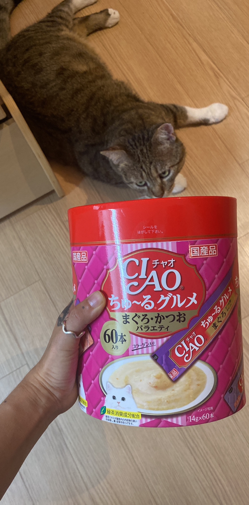 이나바 챠오 츄르 고양이 간식