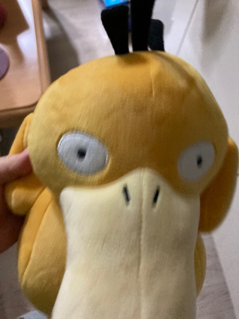 누리토이즈 포켓몬스터 봉제인형