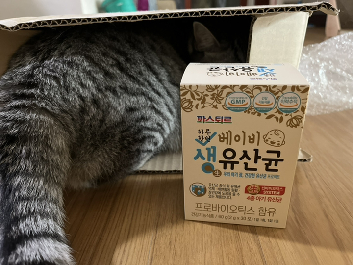 파스퇴르 베이비 생 유산균