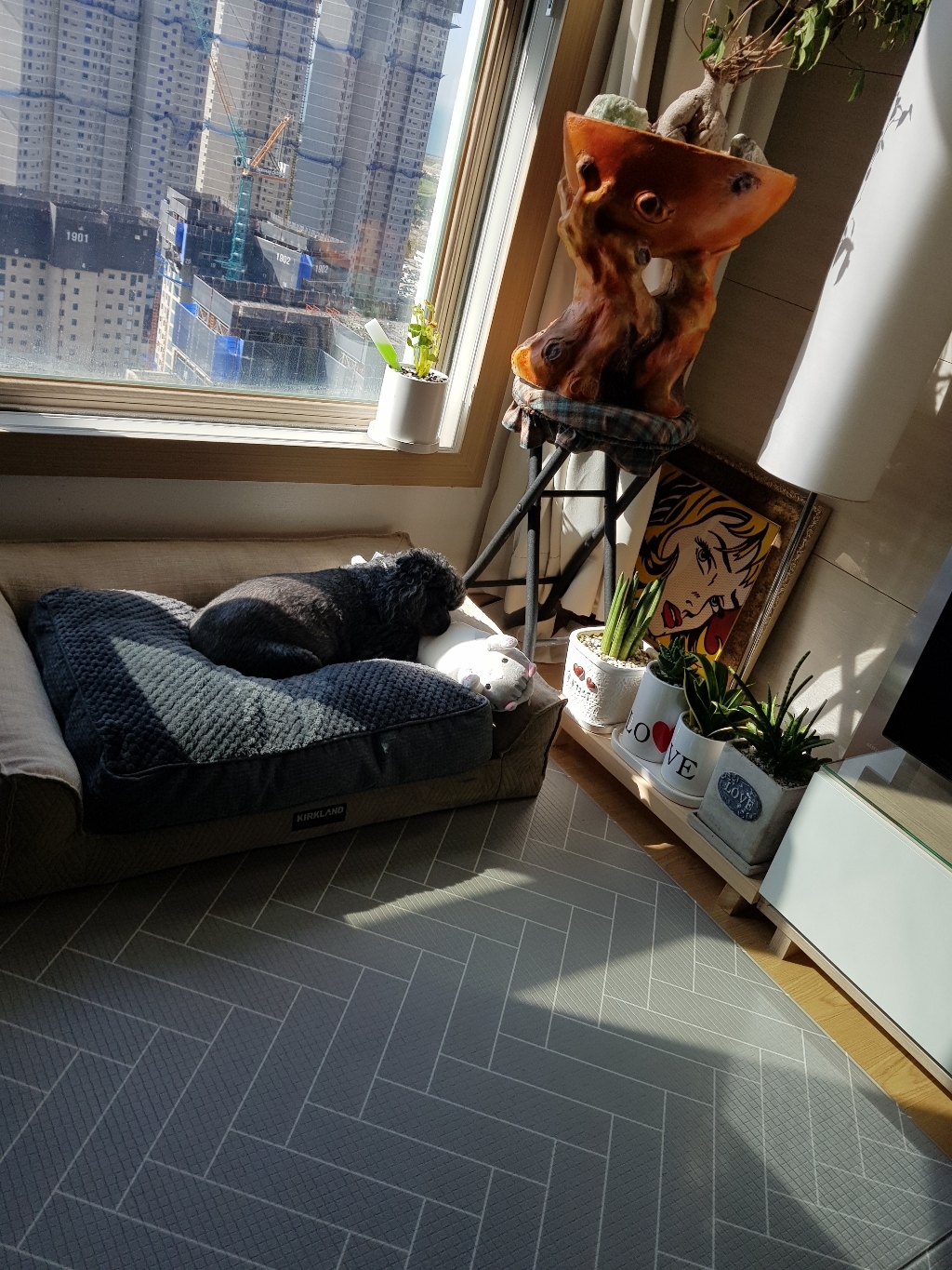 TCR 바디필로우 고양이 인형 안고자는 인형 고양이 베개 쿠션 임산부