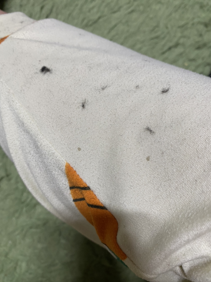 타니즈 여성 털안감 버클 지퍼 롱부츠 베일리