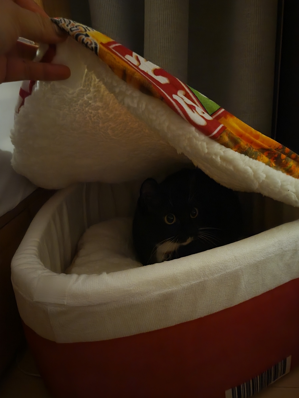 고양이 강아지 펫 하우스 펫방석 고양이 숨숨집 컵라면 모양 숨숨집 애착방석 애착쿠션, 대형 3kg~10kg이내, 1개