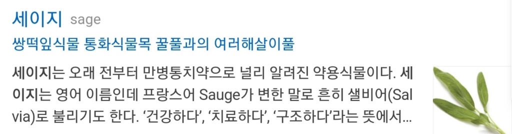 양키캔들 라지자