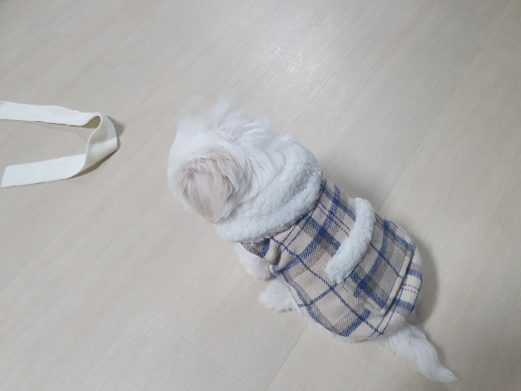 파스텔펫 강아지 도톰 패딩 조끼