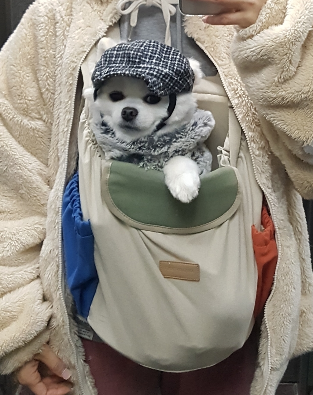 에이미러브즈펫 강아지앞가방 허그프론트빕 리뷰 후기
