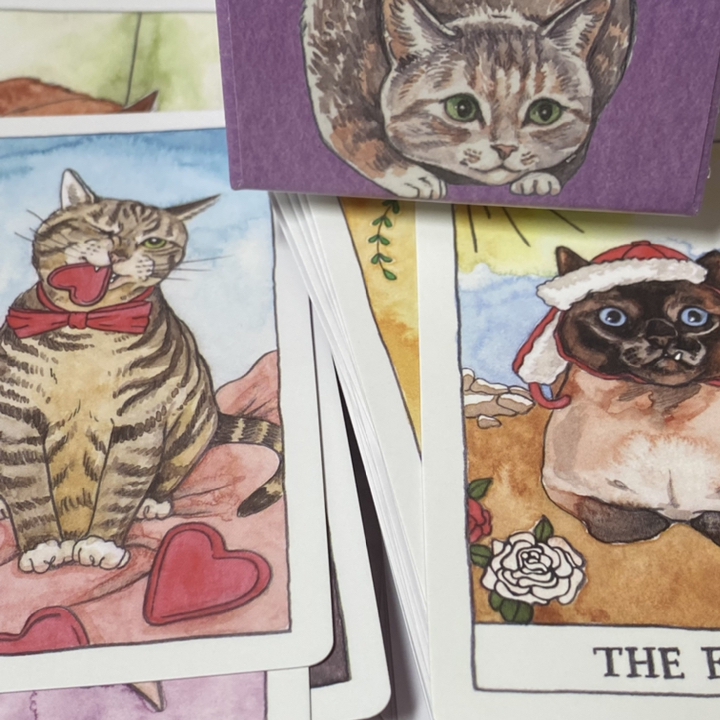 CAT TAROT 타로카드 78장 한글 가이드북 박스 케이스