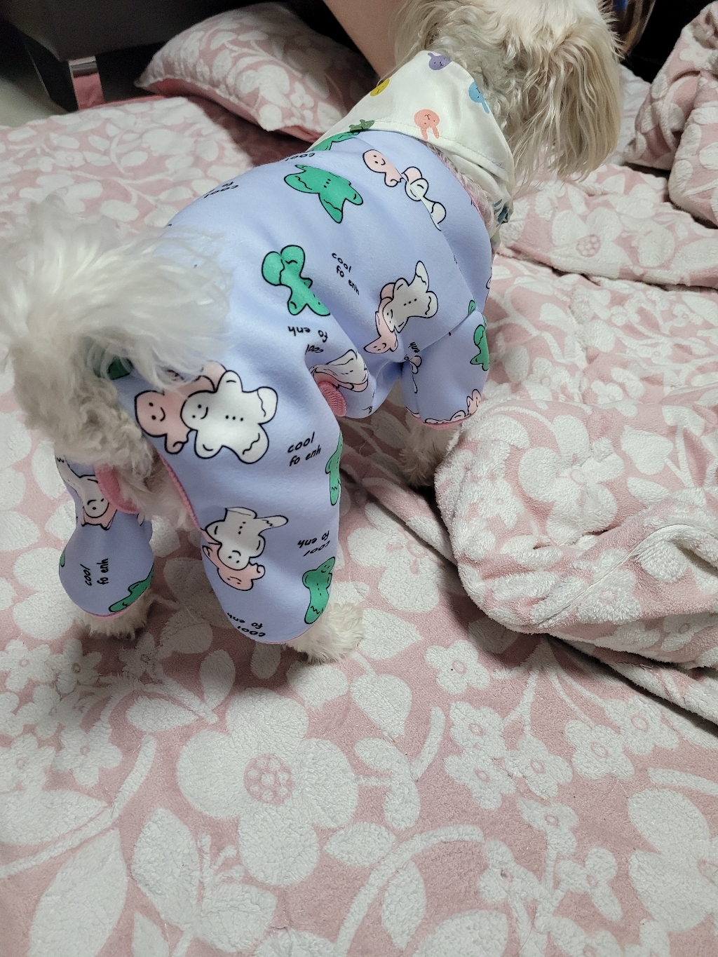 코코스튜디오 예쁜 강아지옷 고양이 기모 올인원
