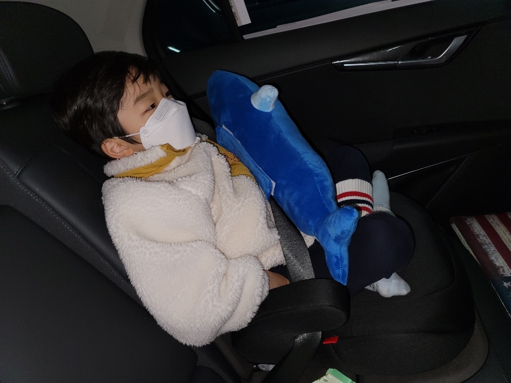 어반카 차량용 인형 안전벨트 쿠션 리뷰후기