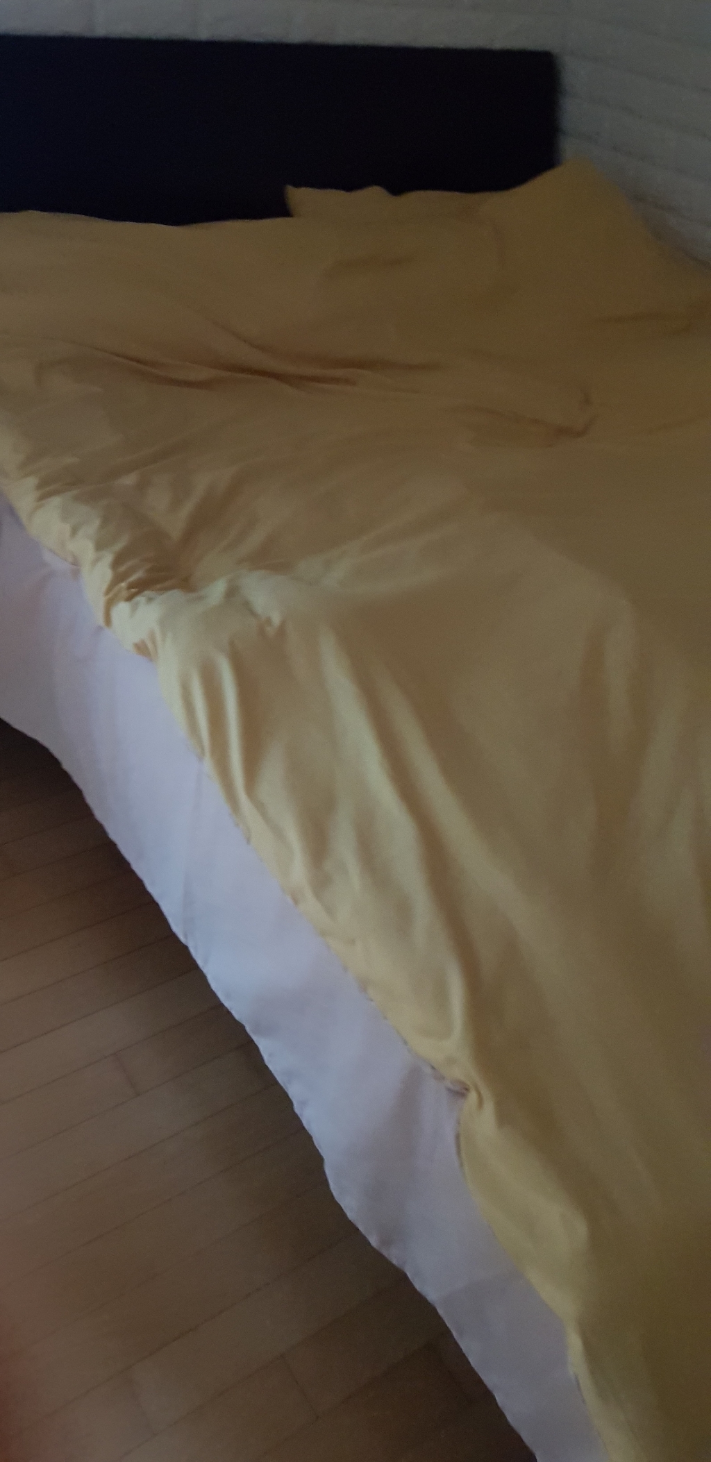 다마다마 파스텔 이불커버 침구세트