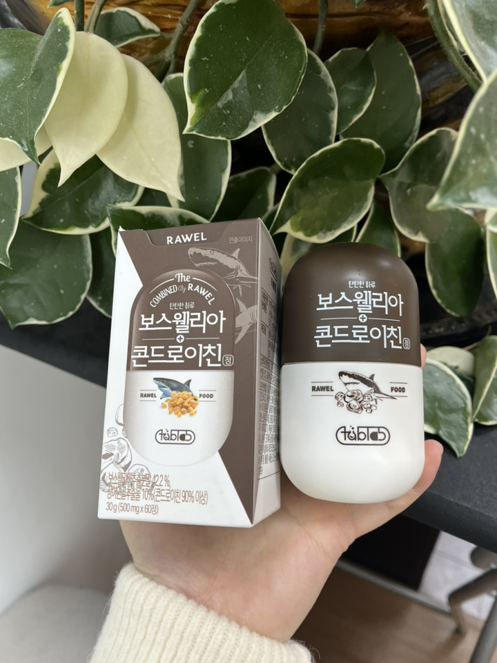 타블랩 로엘 보스웰리아 콘드로이친 정