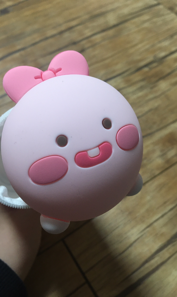카카오프렌즈 리틀 실리콘필통 라이언 어피치