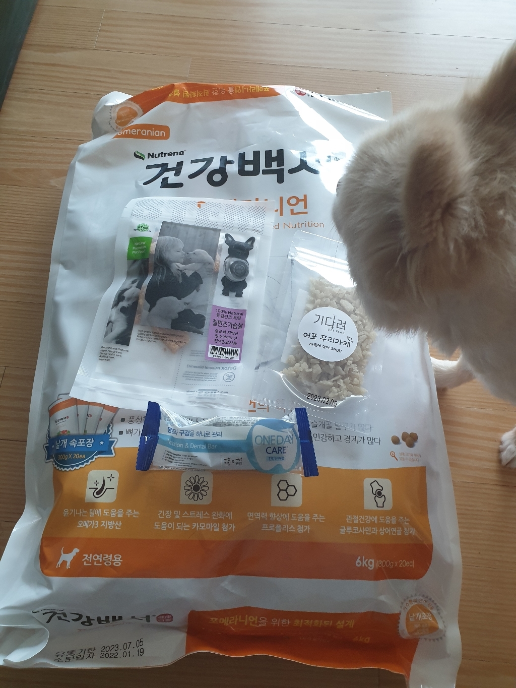 [펫코어] 뉴트리나 건강백서 포메라니언 증정품