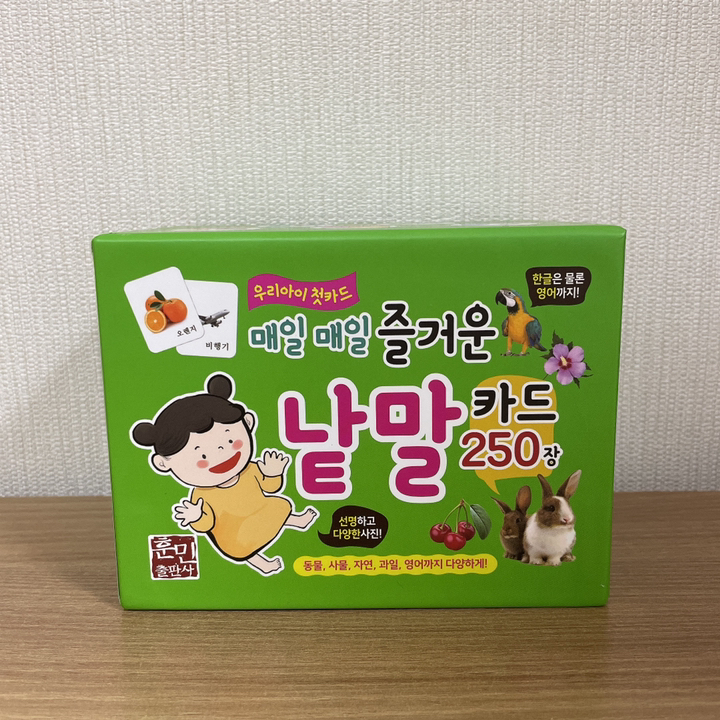 매일매일 즐거운 낱말카드 250장
