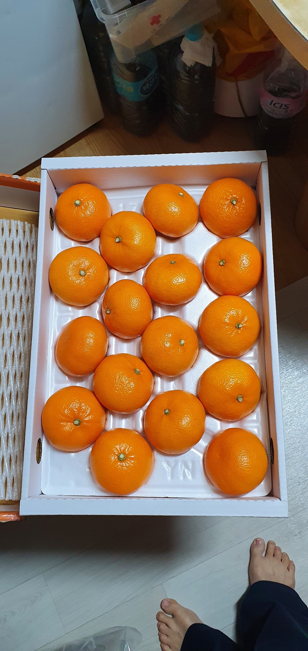 [귤담원] 서귀포 명품 천혜향
