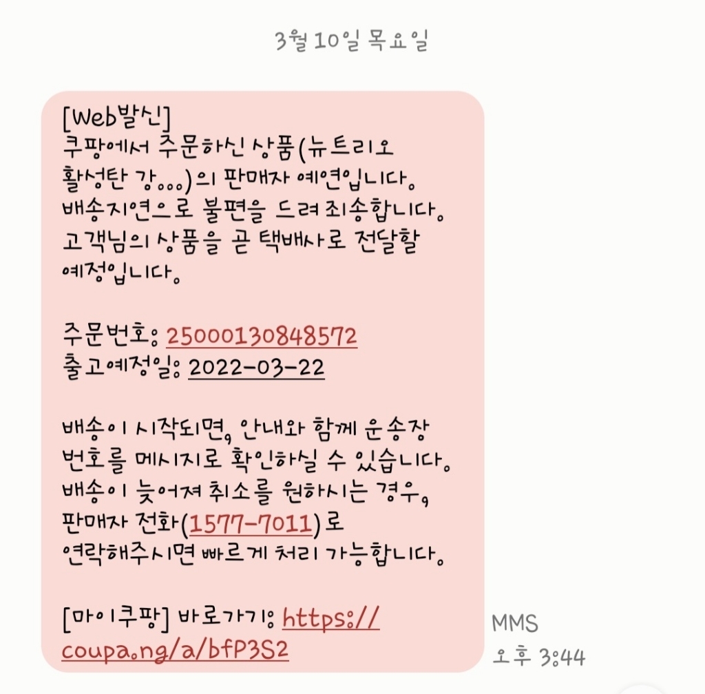 뉴트리오 활성탄 강아지 패드 100매