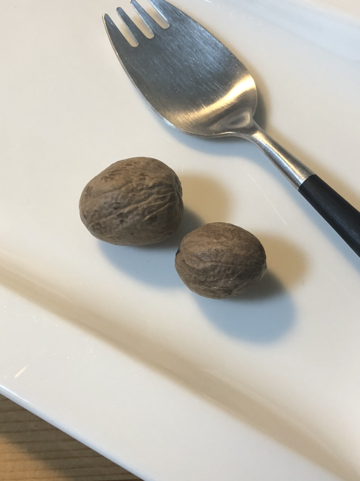 신서리티 인도네시아 넛맥 홀