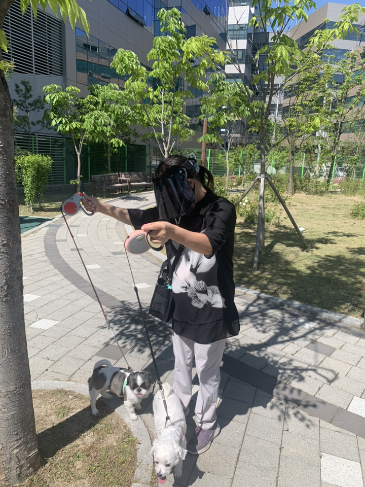 스타일몬 자외선 차단 썬캡 쿨토시