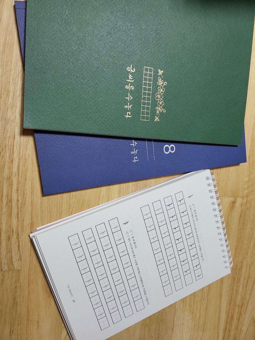 글씨를 수놓다 스타터 / 예쁜 손글씨 연습 악필 교정 글씨 잘쓰는법 필사 노트 책