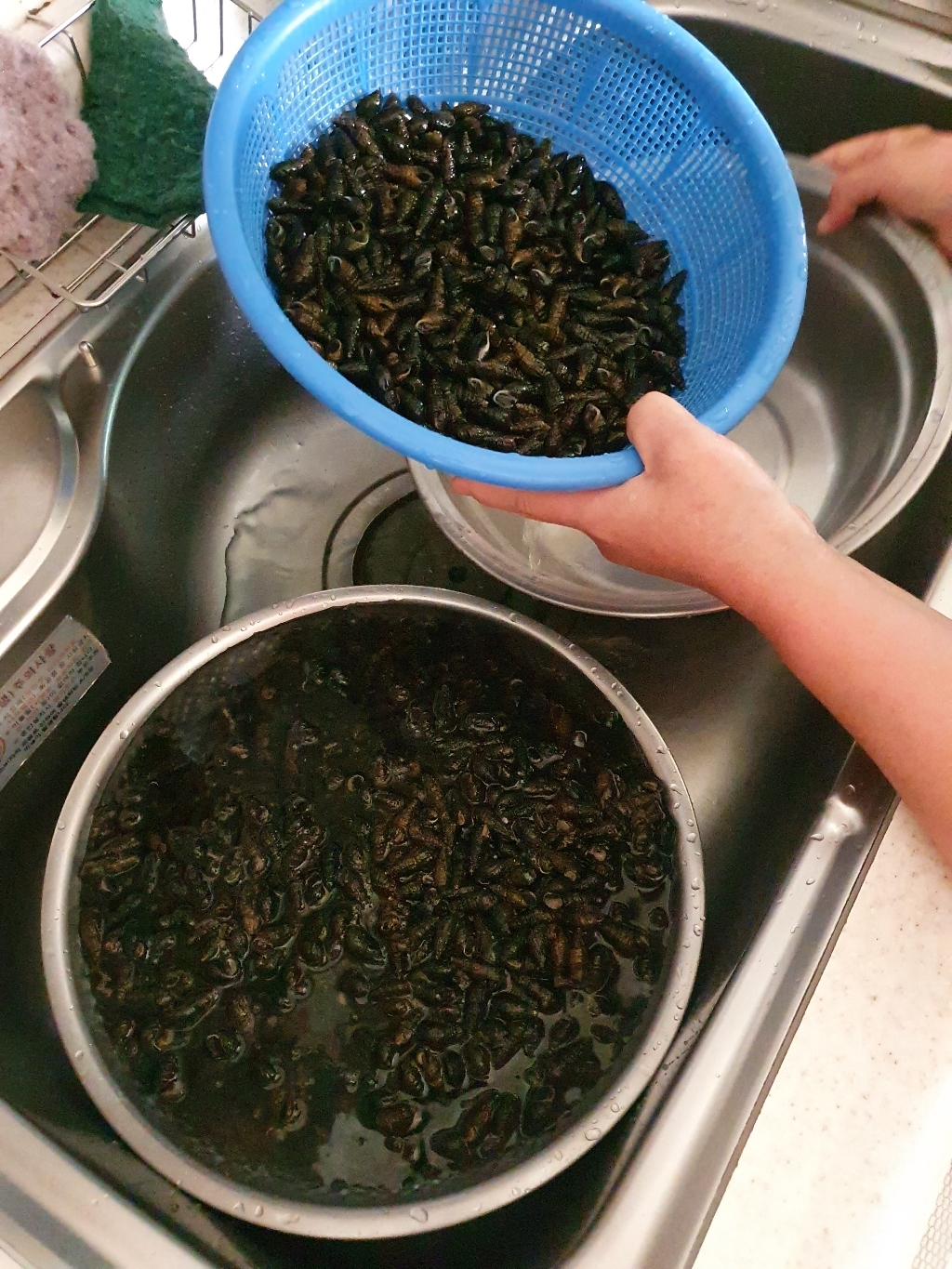비엠몰 다슬기올갱이 고둥 수경 채집통 민물 물놀이 휴가 용품 레저