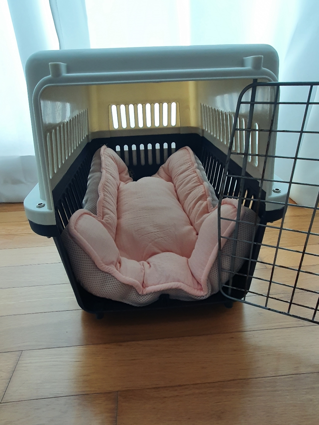 도그포즈 강아지용 숨쉬는 방석