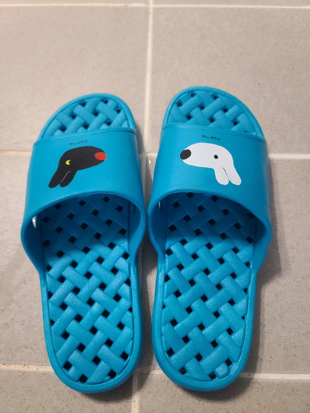 가스파드앤리사 해피 욕실화 그린 핑크