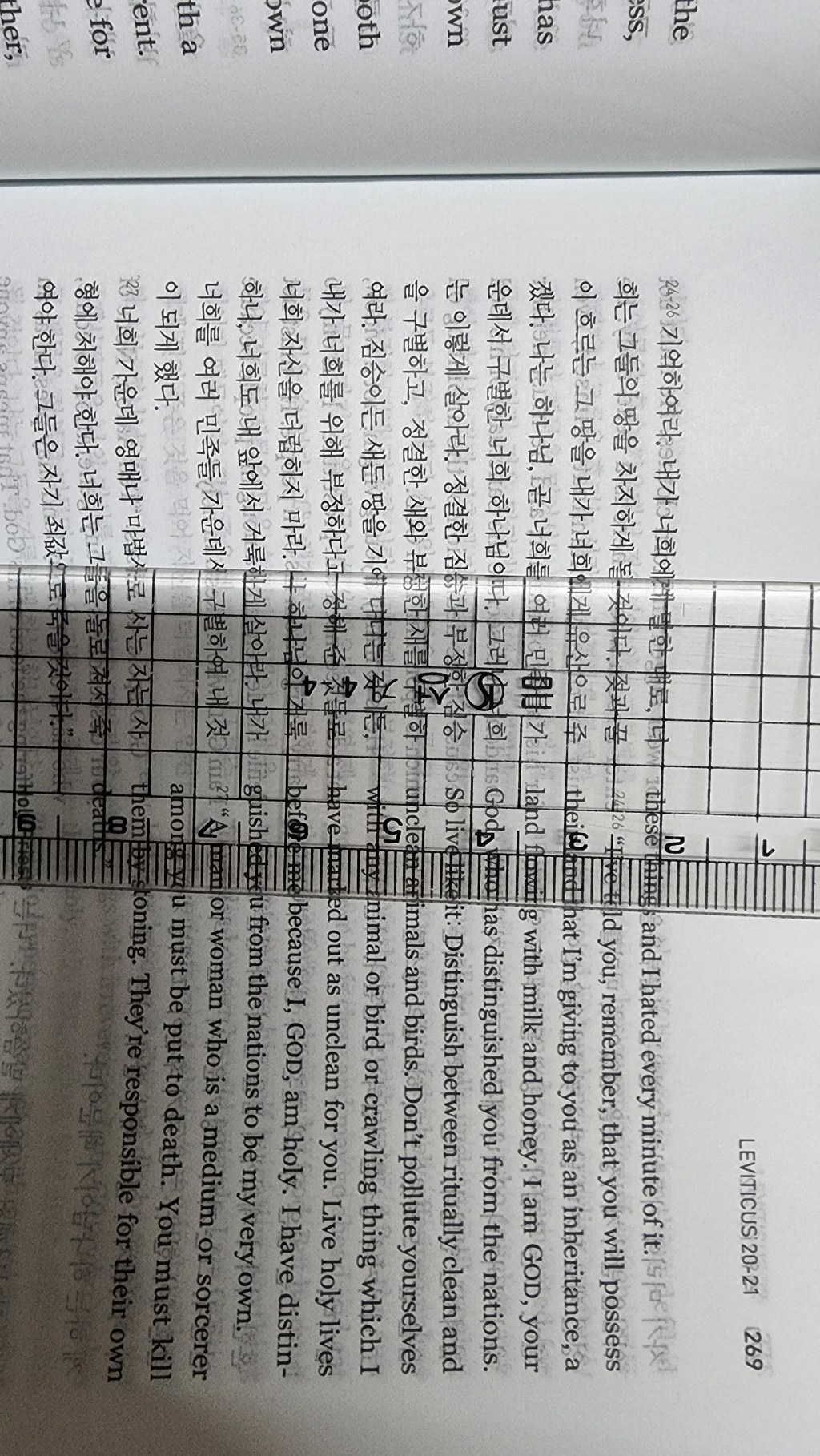 153성경몰 유진 피터슨 메시지 성경