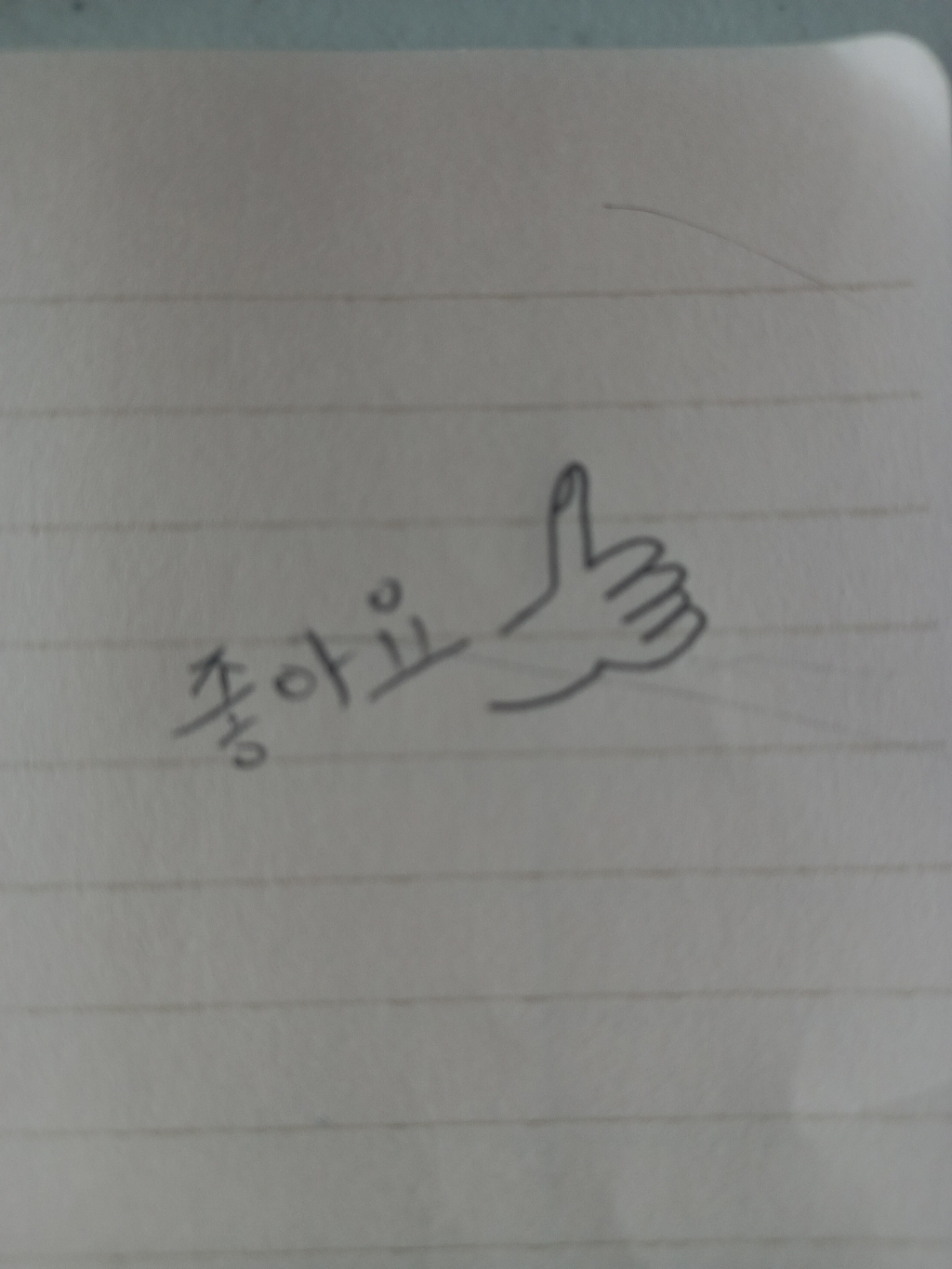 슈가버블 고농축 일반 드럼겸용 세탁세제 리필