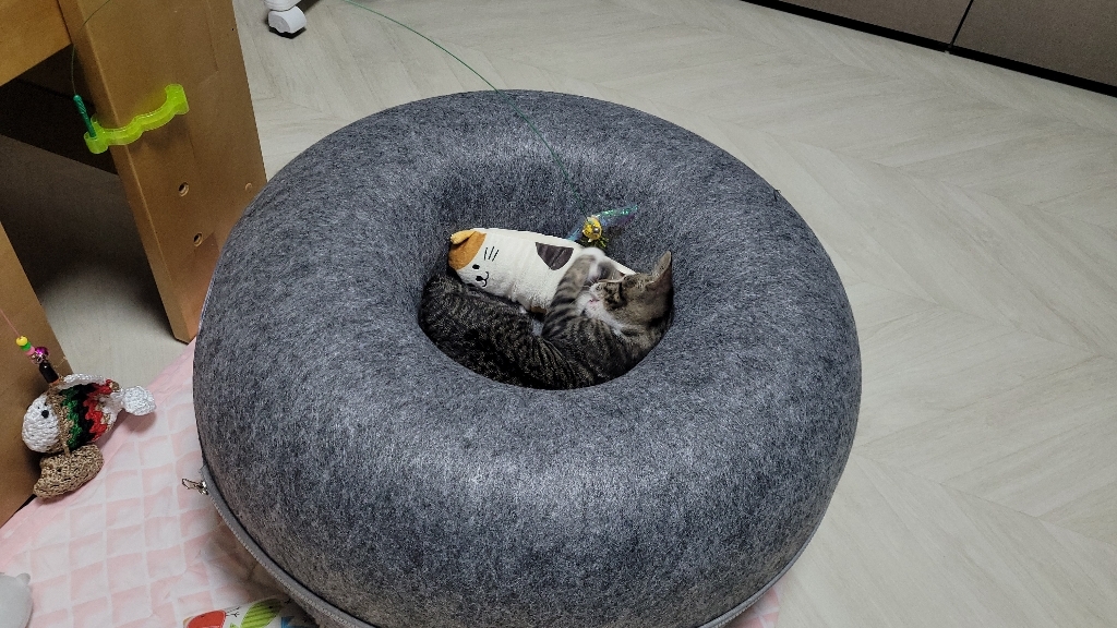 ETCA 고양이 숨숨집 고양이집 터널 고양이도넛 하우스