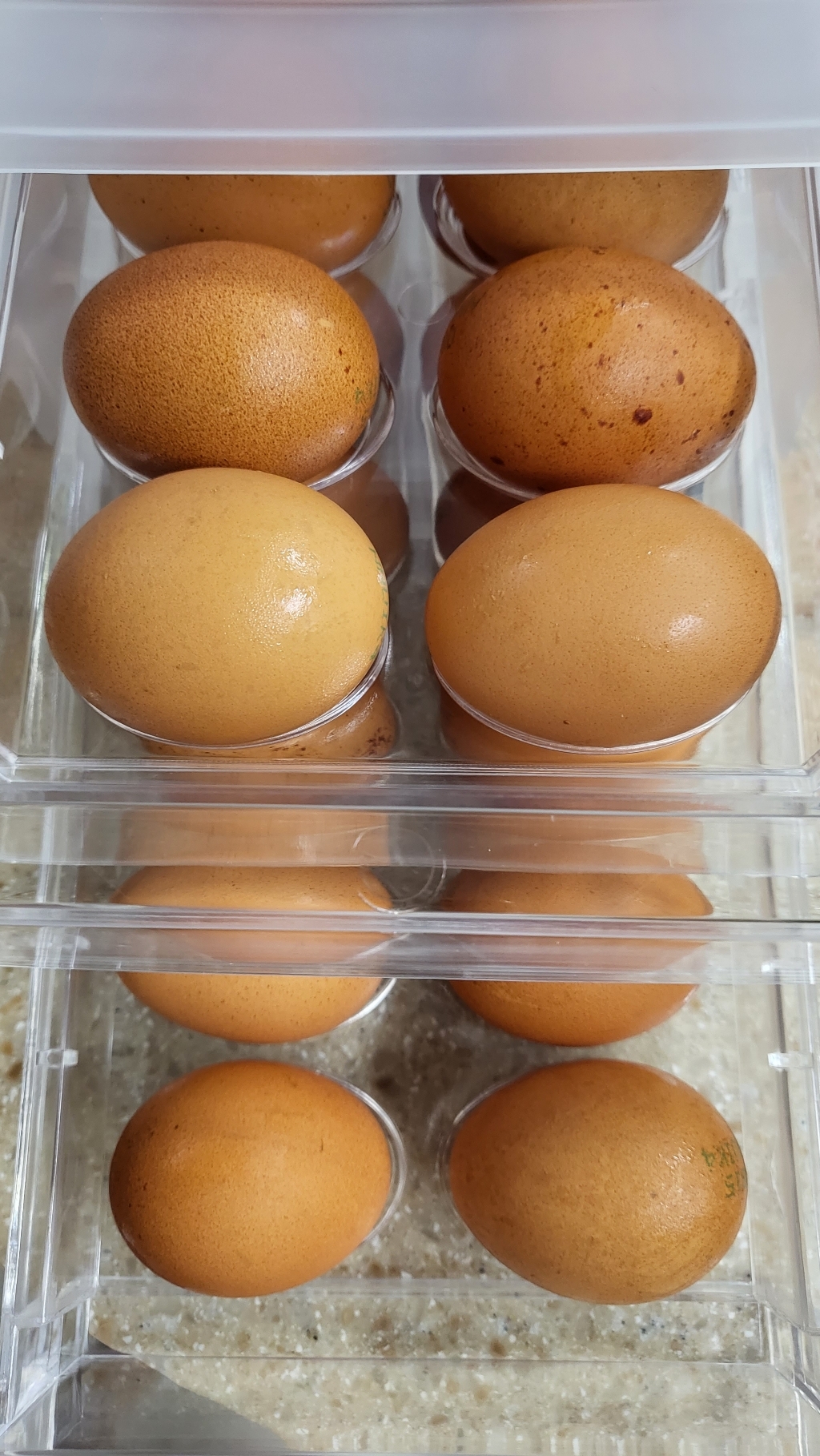 코멧 키친 냉장고 서랍 에그트레이