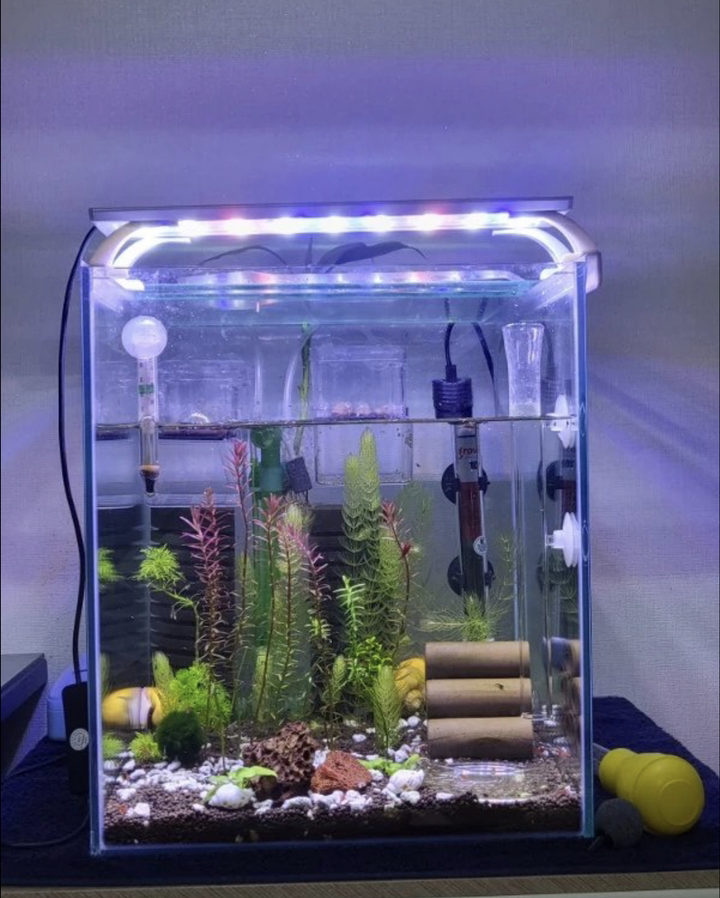 그로비타 수족관 자동조절 히터 100W AH-100