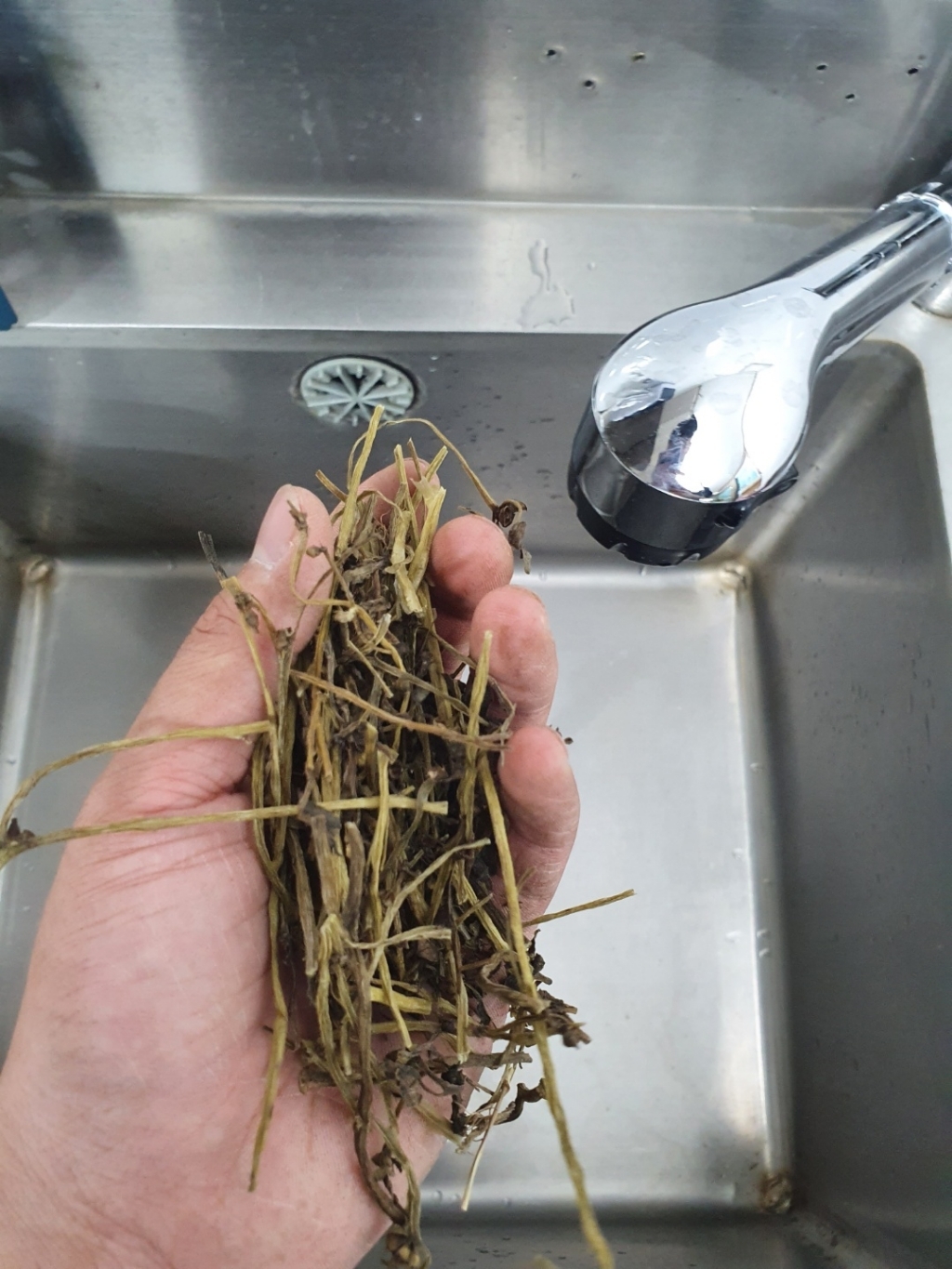 동의한재 국산 마치현 쇠비름 리뷰 후기