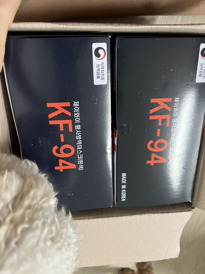 바이얼리 제이와이 황사방역마스크 대형 KF94