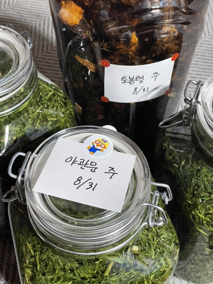 보르미올리 피도 밀폐 유리병