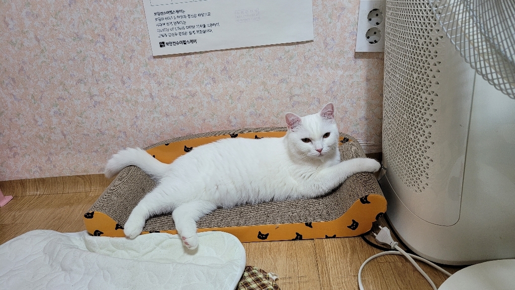 가또 킹소파 고양이 스크래쳐