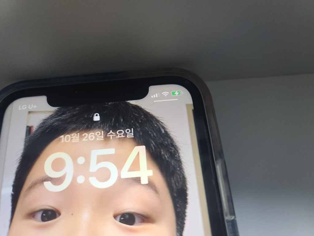 요이치 팔레트 8핀 고속충전 케이블 2개