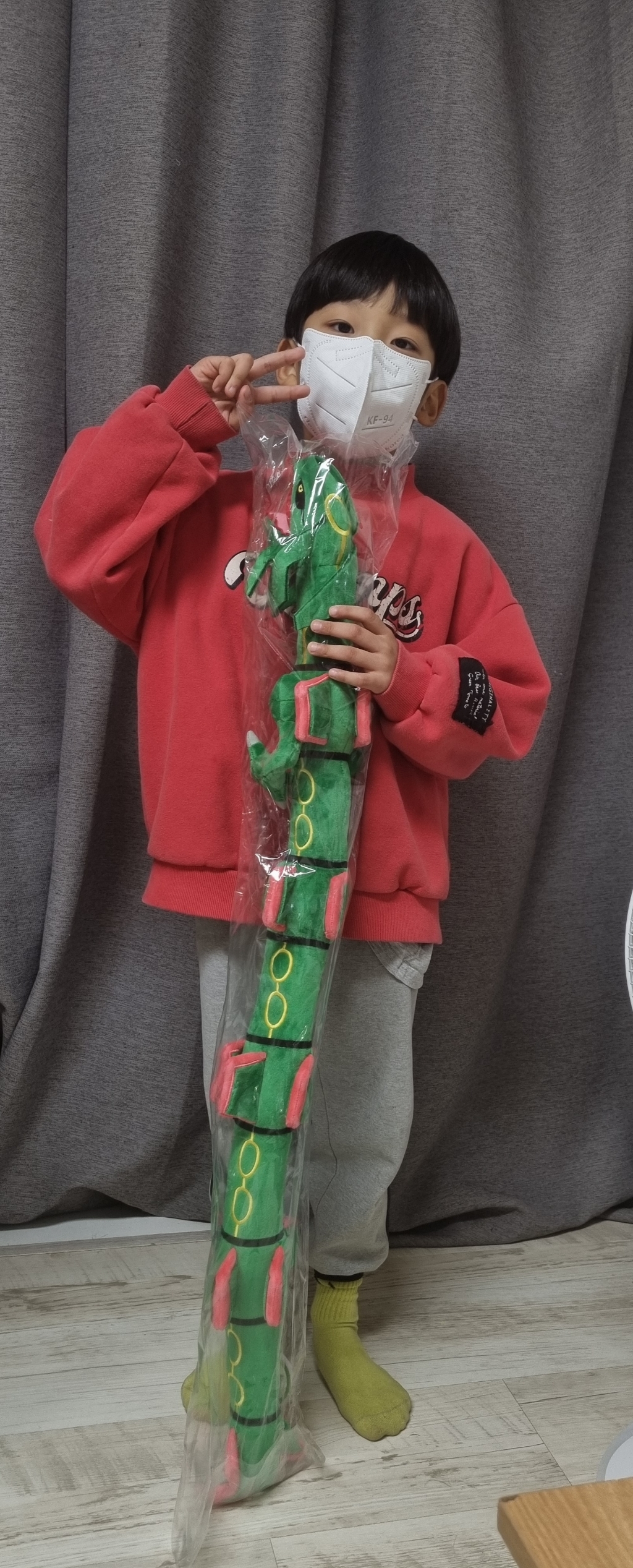 포켓몬스터 레쿠쟈 봉제인형