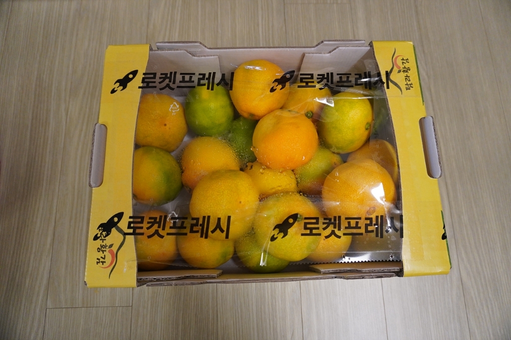 탐라황감 당도선별 서귀포 감귤