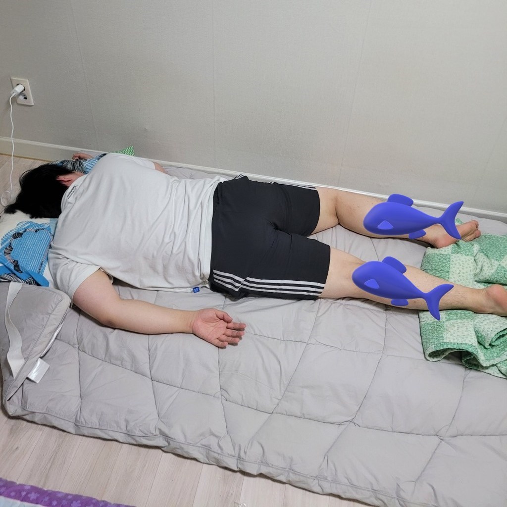 매트리스 3단 접이식 매트 원룸 토퍼 바닥용 간이 매트리스
