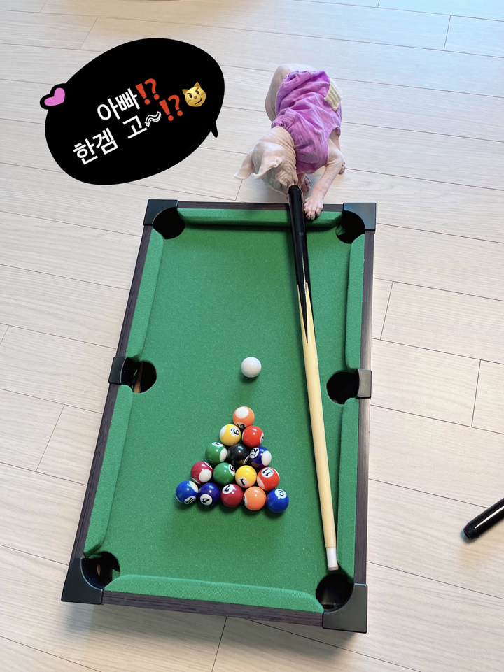 장사부 미니 당구대 특대 사이즈