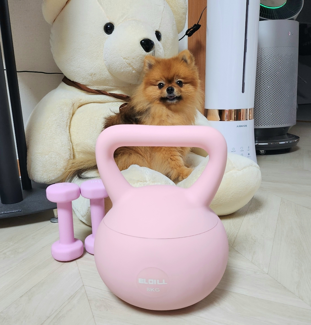타미나 프리미엄 말랑말랑 케틀벨