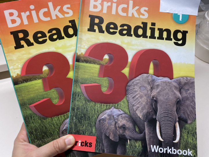 Bricks Readin 30 1
