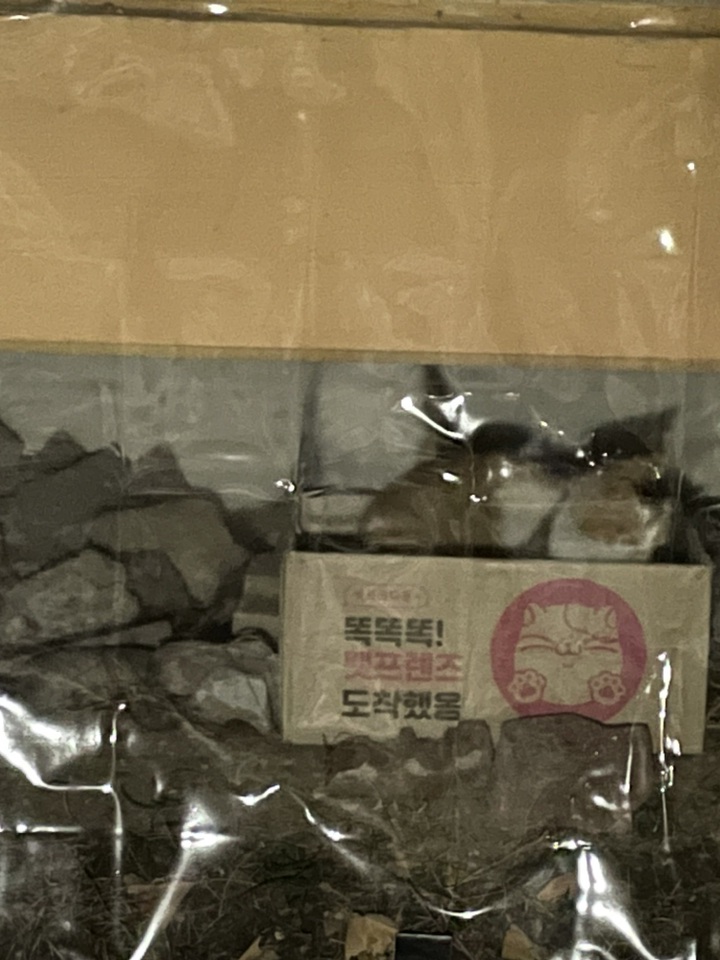 PVC연질비닐 0.5mm부터 5mm까지 1M단위절단 투명아스테이지 방풍비닐 바람막이 투명매트 식탁깔개 베란다창문 외풍차단 강아지배변패드, 0.5mmX120cmX1M, 1개
