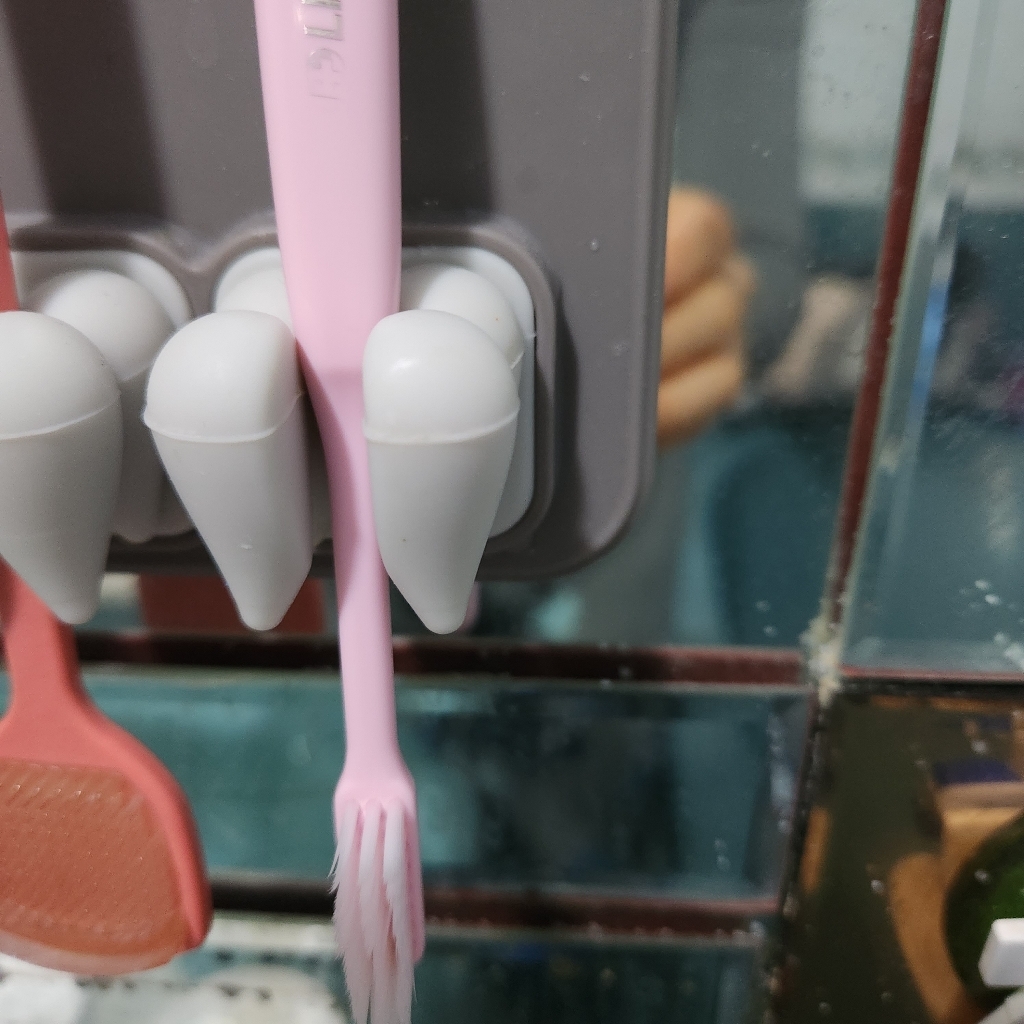 ION 슈퍼테이퍼드레귤러칫솔 5개입 1세트