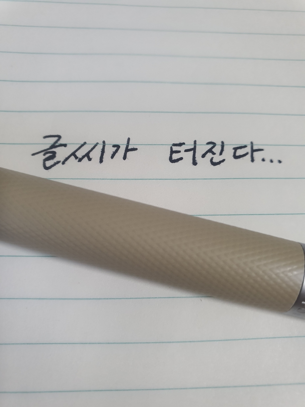 [국내배송/무료각인] 블랙 포레스트 매트블랙&버치화이트 입문용 만년필 선물세트