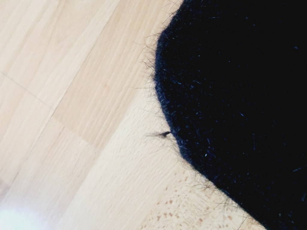 스타일몬 따뜻한 데일리 벙어리 장갑