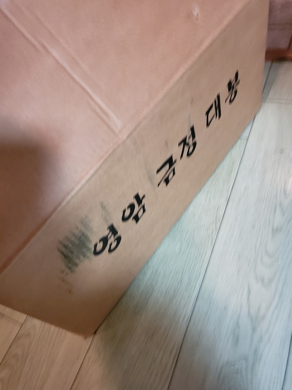 더조은푸드 산지직송 영암 대봉감