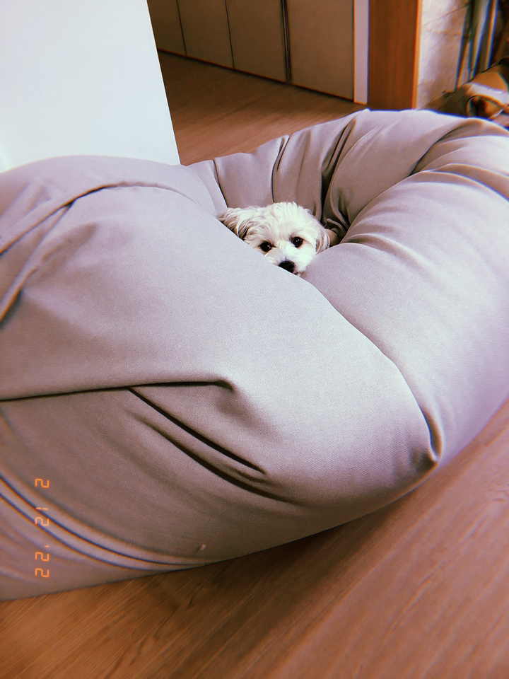 INU 리누 린온빈백 대형 빈백 소파 1인 2인