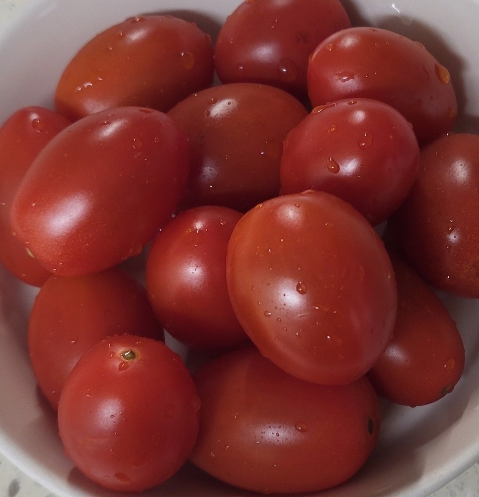 애플 스테비아 토마토 샤인 마토